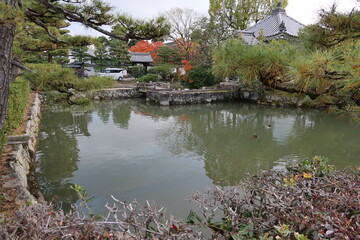 Chokou-in Subordinate Temple and its pond in the precincts of Myoshin-ji Temple in Kyoto City In...