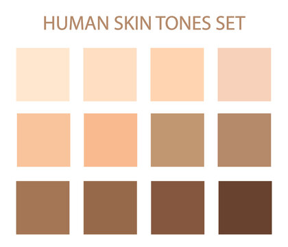 Creative vector illustration of human skin tone color palette set isolated on transparent background. Vector illustration EPS10