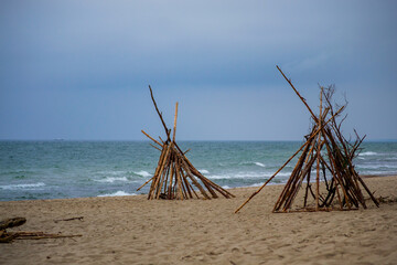 sandy beach of a sea and tipies collected from the wood thrown on the seashore in the national park...