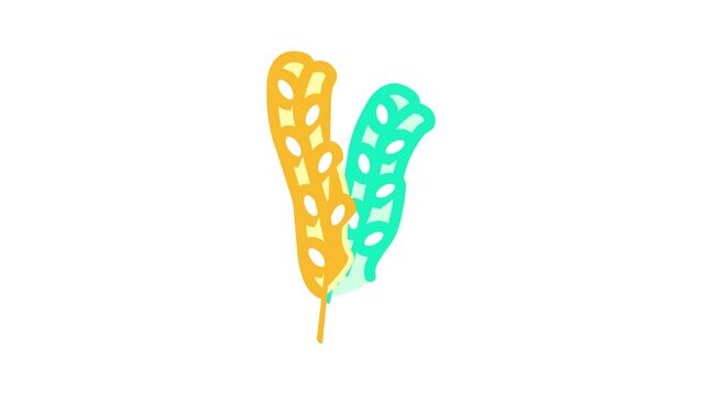 fucus vesiculosus seaweed animated color icon fucus vesiculosus seaweed sign. isolated on white background
