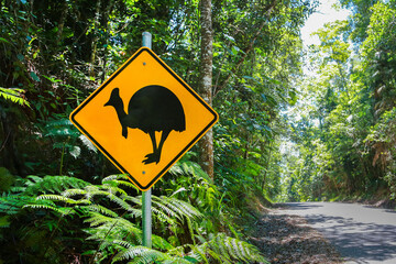 Cassowary warning sign on road, bird caution . Wildlife of Australia
