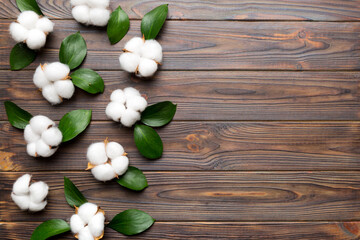 Autumn Floral Flat lay background composition. Dried white fluffy cotton flower branchwith green leaf top view on colored table with copy space