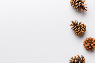 Christmas pine cones on colored paper border composition. Christmas, New Year, winter concept. Flat...
