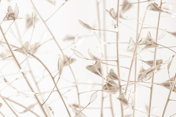 Triangle shape dry beige light brown romantic flowers with branches and buds macro wallpaper