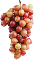 Fresh sweet ripe grape branch