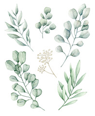Watercolor illustration set with eucalyptus branches and white flowers. Isolated on white background. Hand drawn clipart. Perfect for card, postcard, tags, invitation, printing, wrapping.