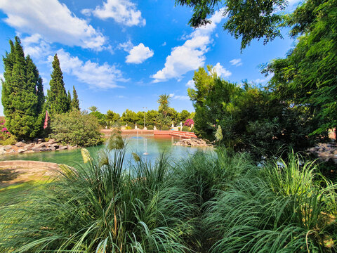 Vega Baja del Segura - Torrevieja - Parque de las Naciones
