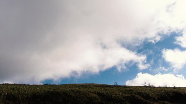 車山高原 山頂の風景　流れる雲と風に揺れる熊笹