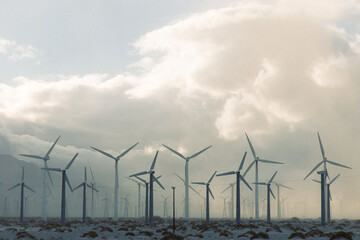 Wind Farm