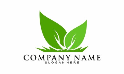Leaf and grass illustration vector logo