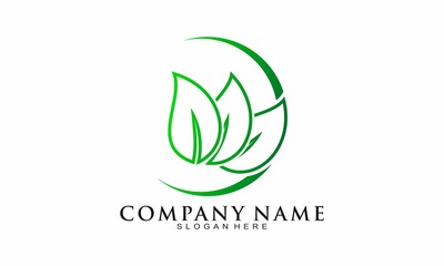 Elegant leaf vector logo