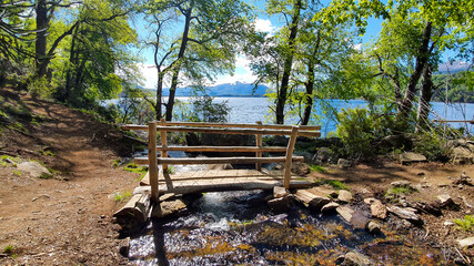 Small wooden bridge in forest.