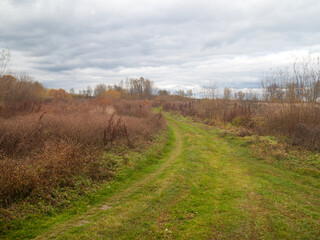 autumn meadow landscape