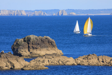 Voiliers en mer d'Iroise, vus de la pointe Saint-Mathieu, Finistère,  Bretagne, France  © aterrom