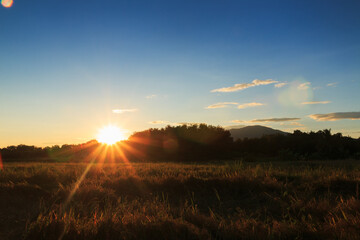 Naklejka na ściany i meble Landscape sky with light sunset in field rice.