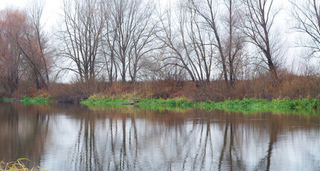 autumn river landscape