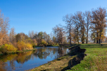 Fototapeta na wymiar Beautiful autumn landscape. Small river and trees with yellow foliage on the bank. Autumn nature.