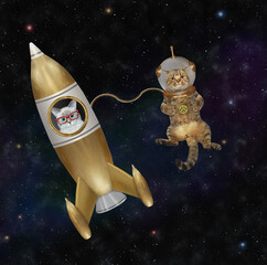 A beige cat astronaut floats in outer space near a golden space rocket among the stars.