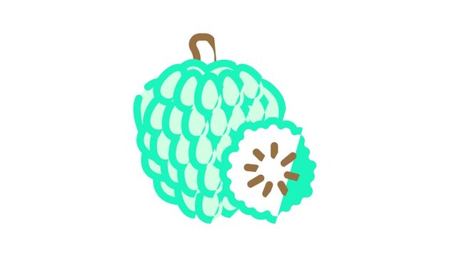 custard apple fruit animated color icon custard apple fruit sign. isolated on white background