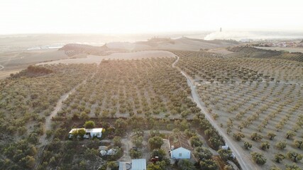 Obraz premium created by dji camera
