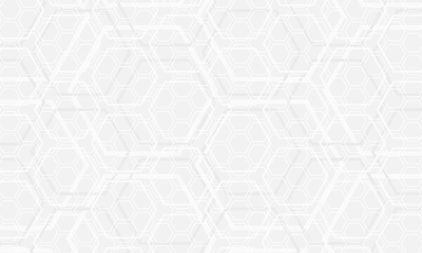 Light Gray Hexagonal Technology Vector Abstract Background. White Hexagon Patern Futuristic Modern Background. White Honeycomb Texture Grid. Vector Illustration.