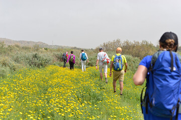 Group of friends walking with backpacks in blooming field from back. Adventure, travel, tourism, hike and people friendship concept. Sports activity