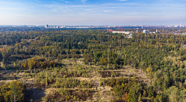 Perlacher Forst seen from aerial drone view. Forest used for sustainable explotation of timber in Germany
