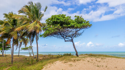 Fototapeta na wymiar Panoramic view of Boa Viagem beach