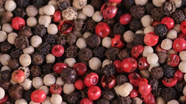 Mixed peppercorns rotation, heap of spice, mix of different peppers closeup, slow motion