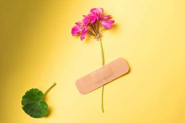 Fresh natural flower attached adhesive plaster on a  background. Bandage strip on flower