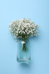 Bouquet of white gypsophila in glass vase on light blue background, top view