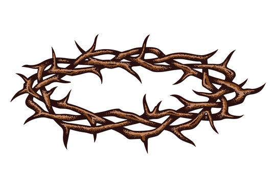 crown of thorns image isolated on white background