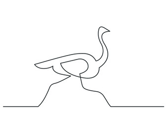 Continuous line drawing of running ostrich on white background. Vector illustration
