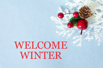 hello winter text on background next to christmas decoration, time of year, winter