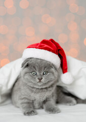 Funny tiny kitten wearing red santa hat sits under white blanket on festive background