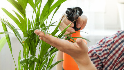 Woman taking care of flowers and watering plants at home. Concept of gardening, hobby, home planting