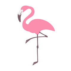 pink flamingo isolated bird character vector simple hand drawn
