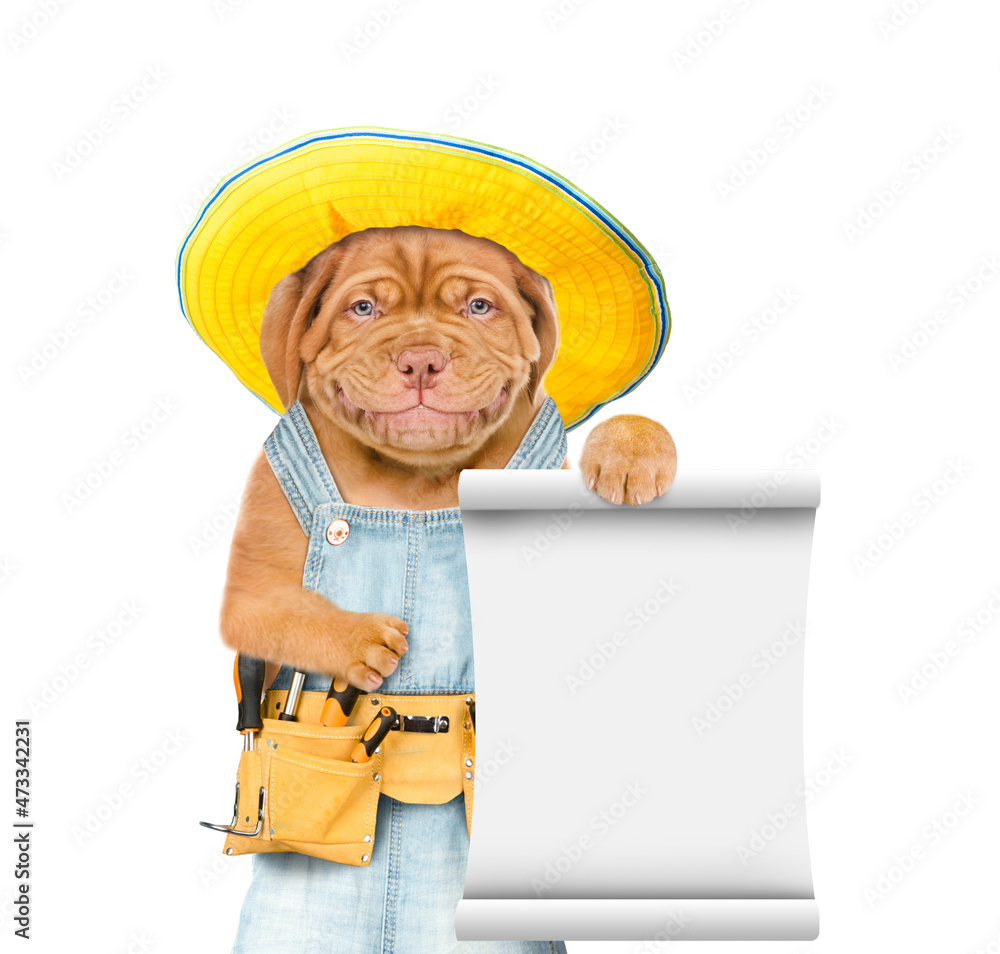 Poster smiling mastiff puppy wearing summer hat, overalls with tool belt shows empty list. isolated on whit