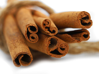 bunch of cinammon sticks isolated on a white background, close up