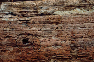 Piękne drewniane tło, brązowa zniszczona tekstura drzewa. 