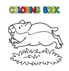 Funny walking hamster. Animal coloring book Vector