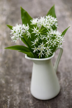 A bouquet of wild garlic flowers in a white vase on a rustic wooden table