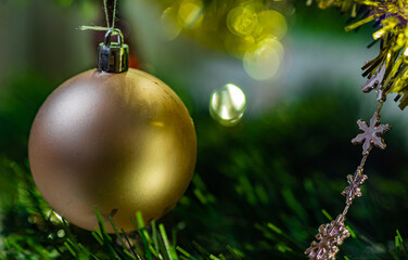 A golden Christmas ball is hanging on a branch of a Christmas tree.