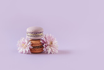 Fototapeta na wymiar Tasty french macarons with flowers on a violet pastel background.