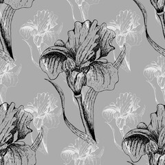 Seamless pattern with graphic flowers iris on gray background.