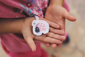 Little girl holding a ladybug
