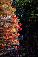 Vista vertical de diferentes cactus en miniatura.
Abstracto, minimalista.