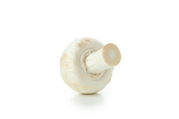 Fototapeta na wymiar Tasty champignons mushrooms isolated on white background