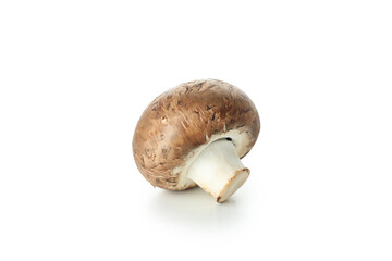 Tasty champignon mushroom isolated on white background