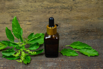 Basil or Tulsi Essential Oil in bottle with Branch of Basil and green leaf on rustic wooden background.